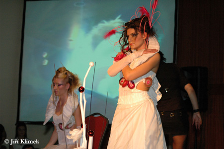 DSC_0086 kopie.jpg
